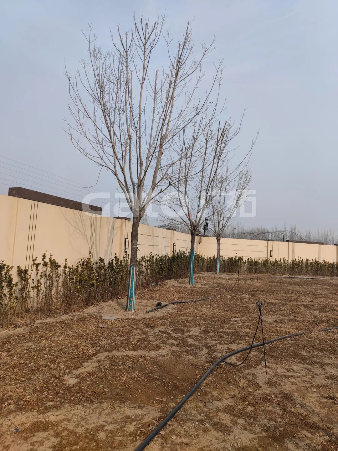 国家建筑节能技术国际创新园投产，广拓G5s守护周界安全(图8)