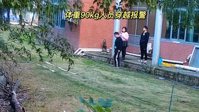 用数据说话，风雨小动物不误报！(图4)