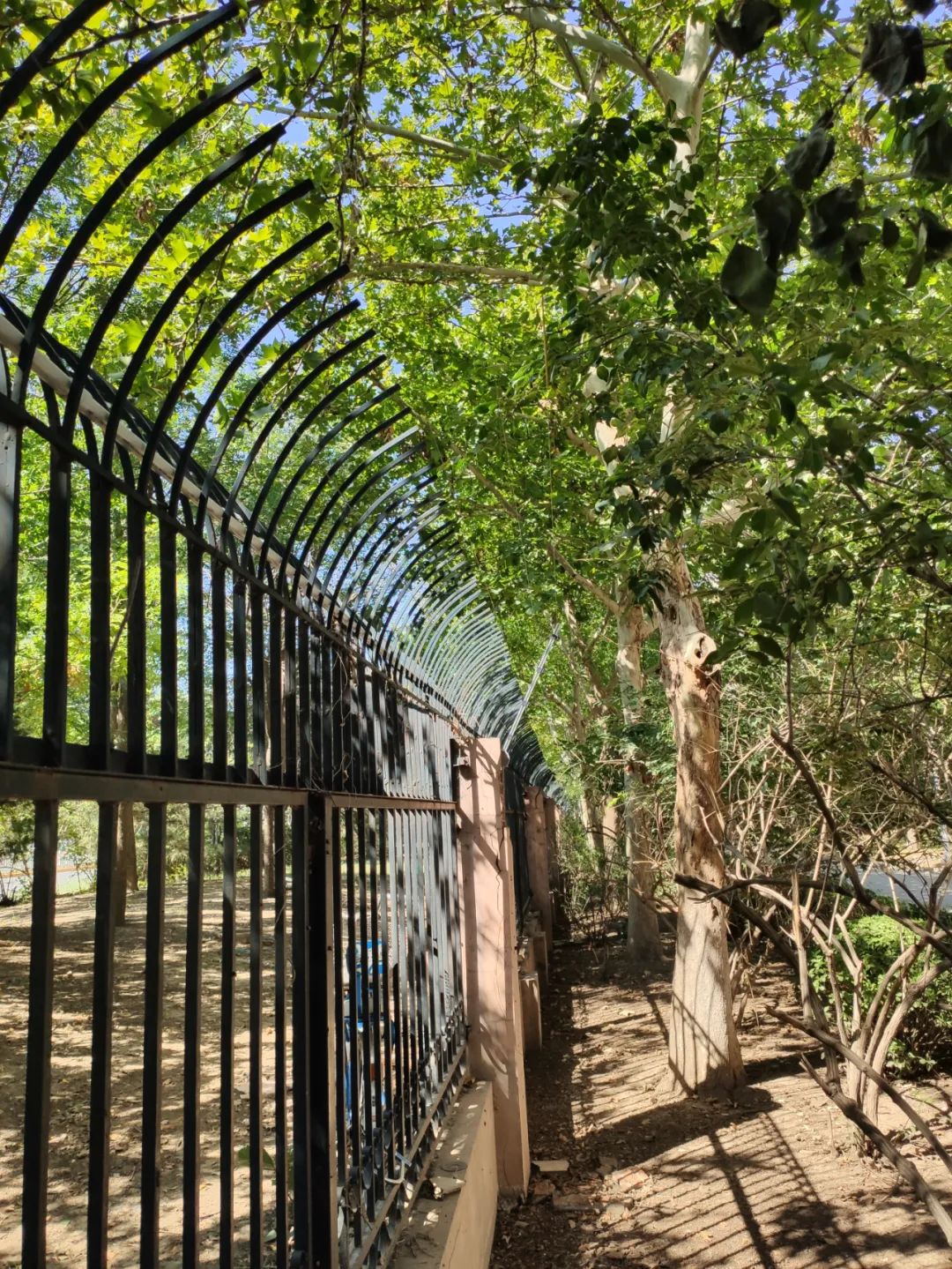 开学季！广拓给孩子们最好的礼物是安全！(图10)