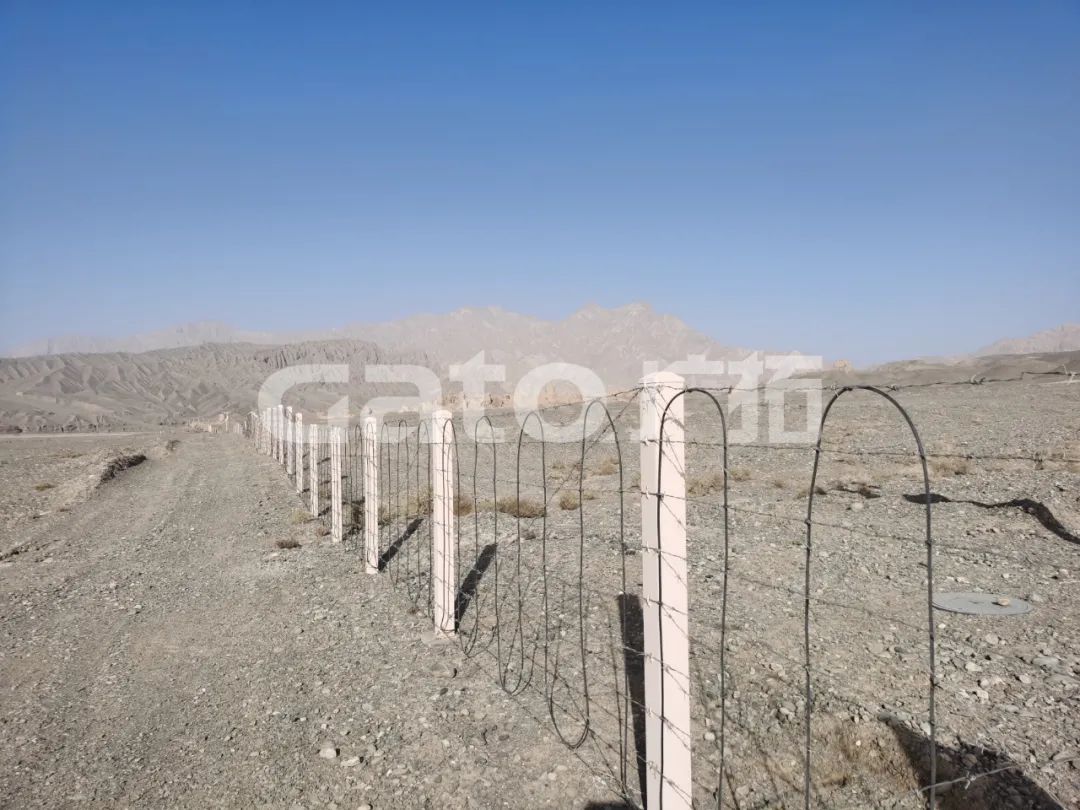 “唐僧”取经路过的新疆古佛寺,千年后用上了广拓F7振动光纤系统!(图4)