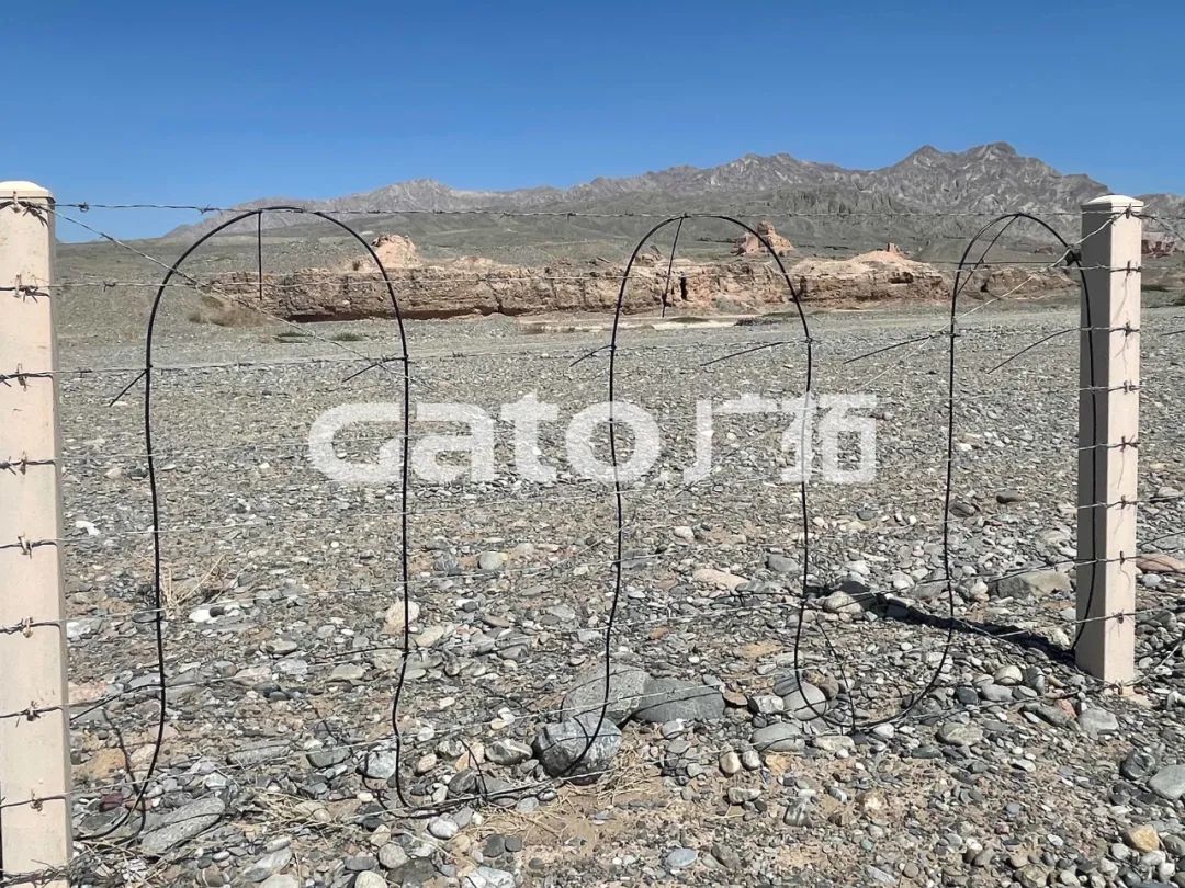 “唐僧”取经路过的新疆古佛寺,千年后用上了广拓F7振动光纤系统!(图7)