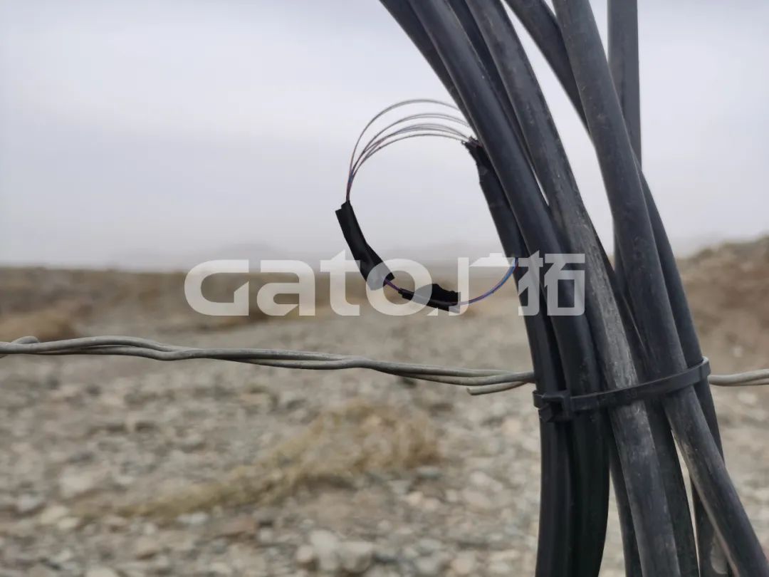 “唐僧”取经路过的新疆古佛寺,千年后用上了广拓F7振动光纤系统!(图12)