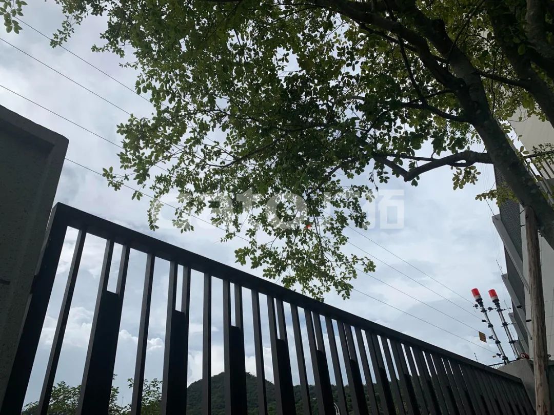 在2021年结束前，这53个广拓下半年经典案例推荐你看……(图34)