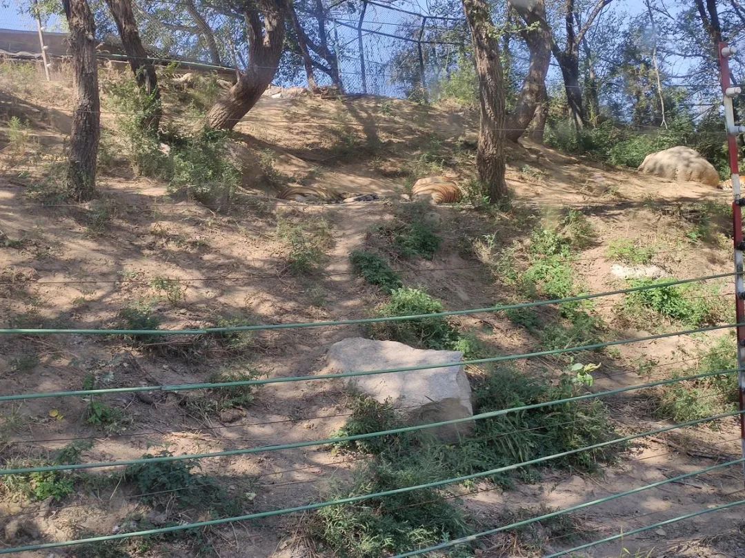 五一你负责浪~我负责安全感~(图13)