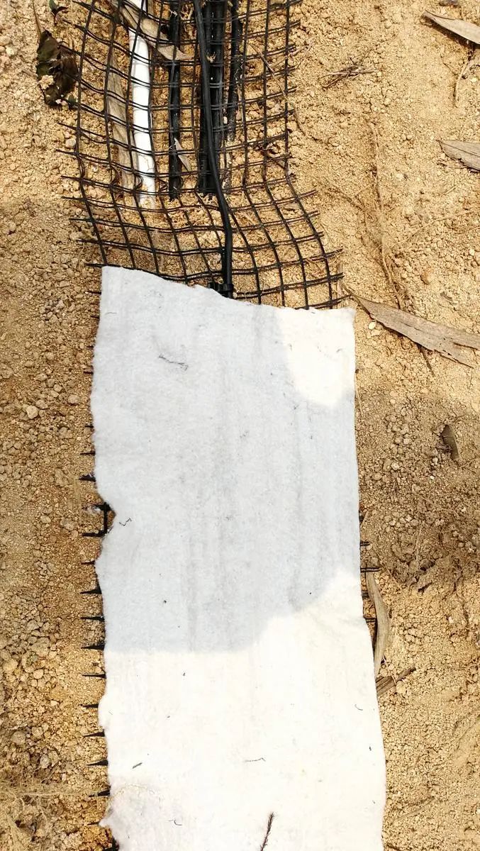 五一你负责浪~我负责安全感~(图16)