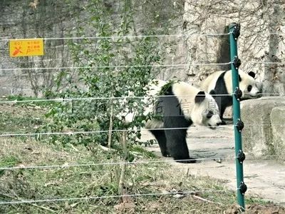 五一出游高峰不必慌，疫情防控神器来帮忙！(图13)