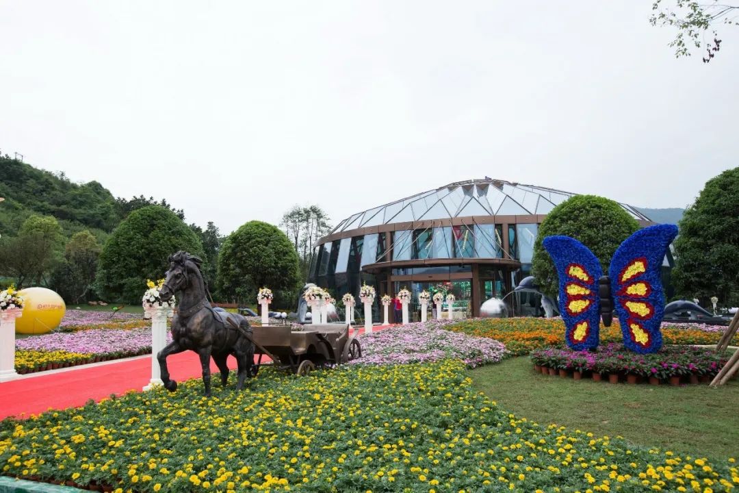 五一出游高峰不必慌，疫情防控神器来帮忙！(图16)